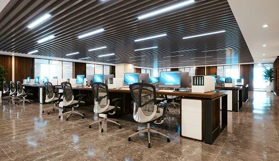 Commercial Renovation